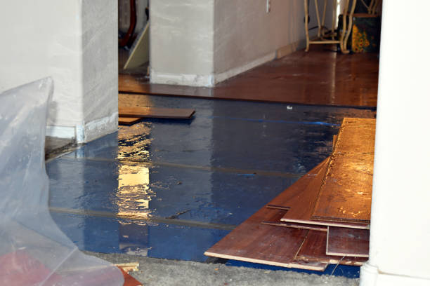 Professional Sewage Cleanup technician working in Chamberlain, ME